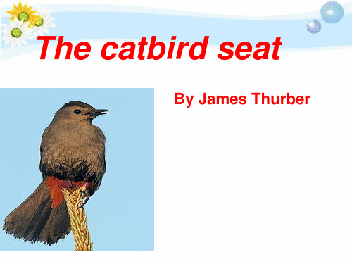 The_Catbird_Seat分析