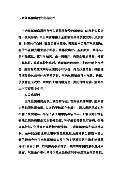 玉米丝黑穗病的发生与防治