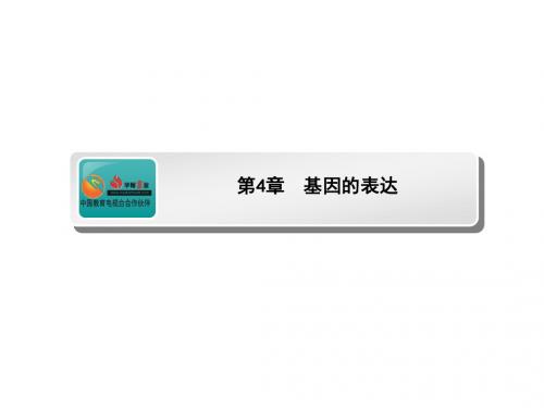 高考生物(人教版)一轮复习课件：基因的表达