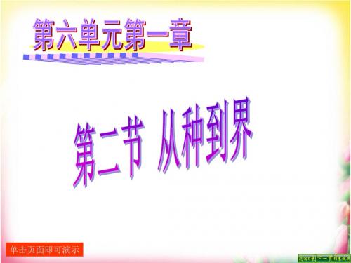 第二节从种到界