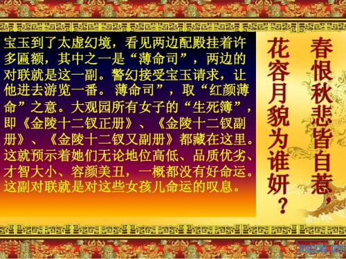 十二金钗(补充)