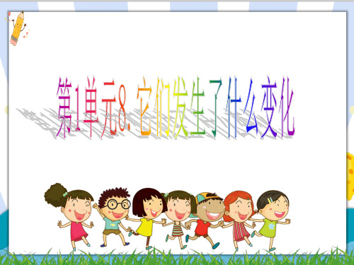 最新教科版科学三年级上册《它们发生了什么变化》精品课件ppt