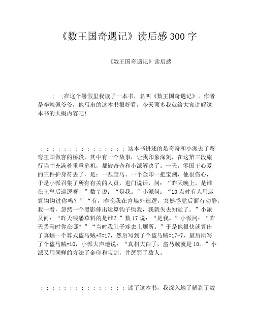 《数王国奇遇记》读后感300字