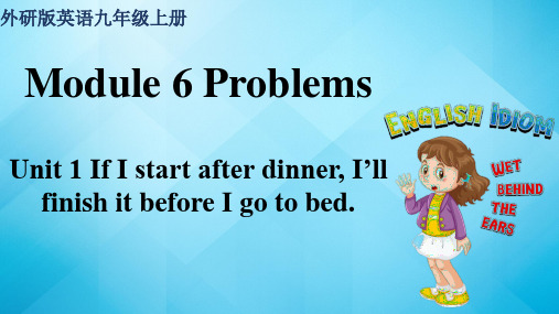 外研版英语九年级上册 Module 6 Problems