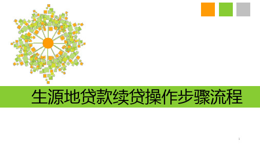 续贷流程 PPT课件