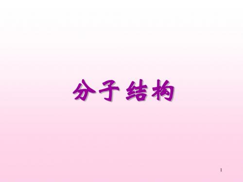 杂化轨道理论要点