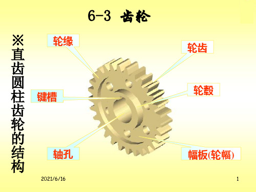 机械制图--齿轮的画法