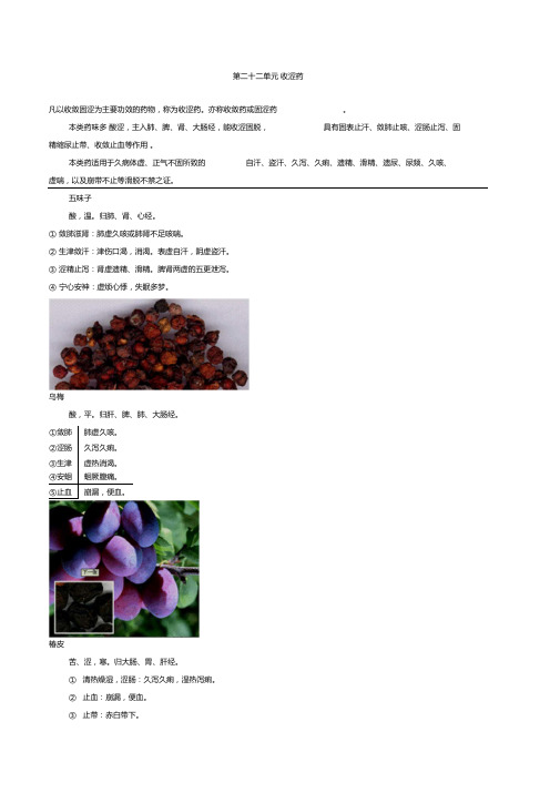 执业中药师中药学收涩药