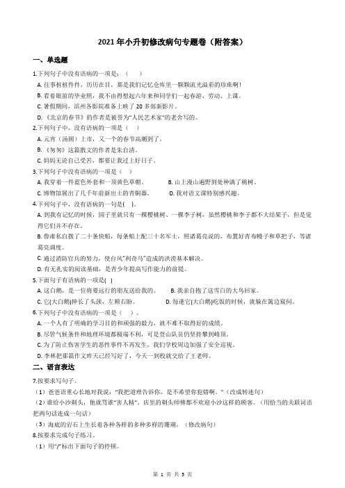 2021年小升初修改病句专题卷(附答案)