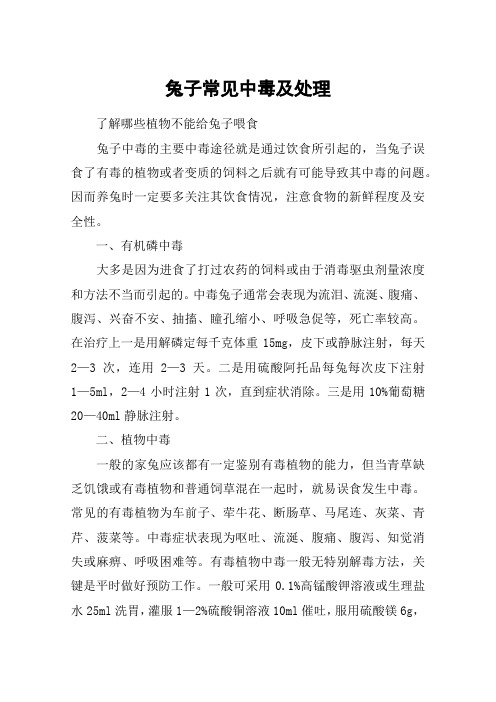 兔子常见中毒及处理