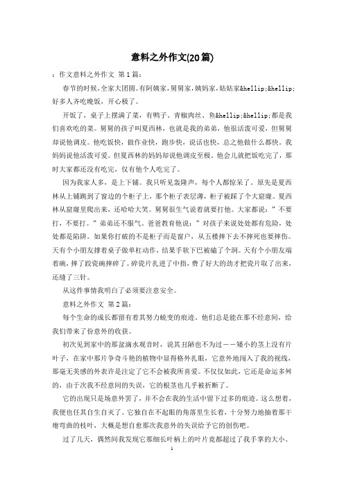 意料之外作文(20篇)