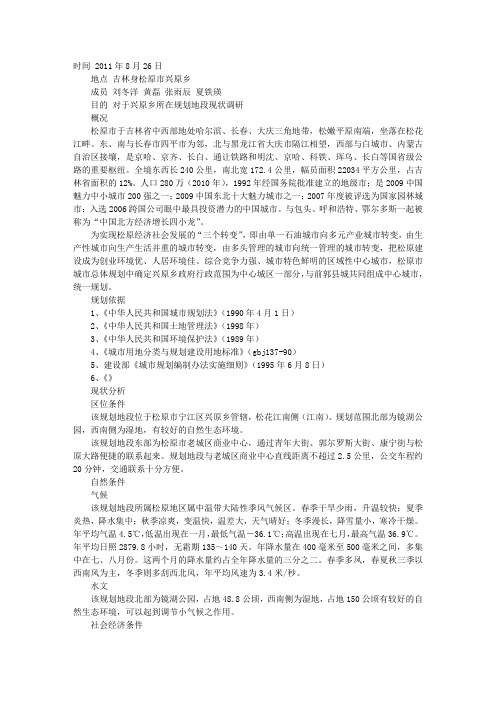 控规调研报告