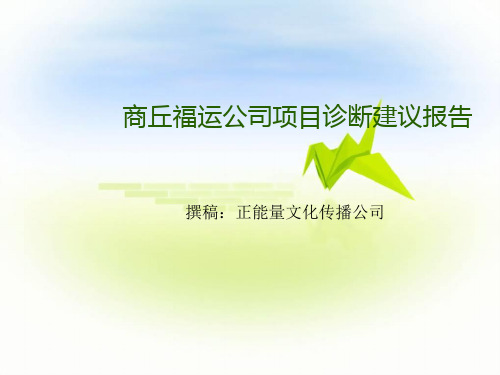 某公司项目管理及诊断管理知识分析报告.ppt