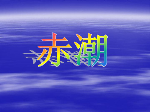 赤潮PPT