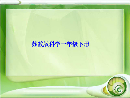 小学科学【苏教版】沙子与黏土ppt完美课件1