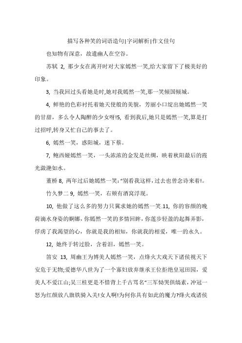 描写各种笑的词语造句-字词解析-作文佳句