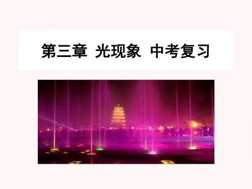 中考物理复习：光现象 PPT课件 苏科版