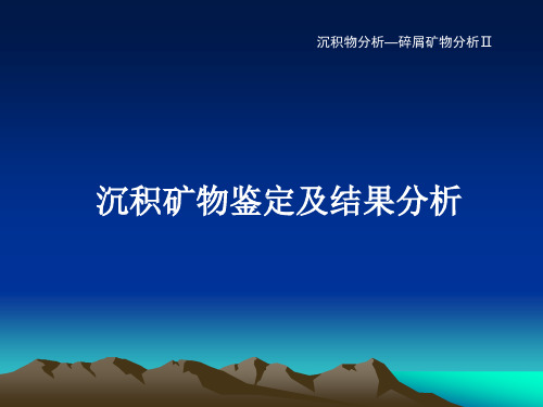 沉积矿物鉴定及结果分析