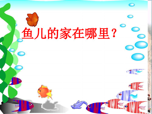 (精选)四年级科学上册3.1《鱼儿的家》 优秀课件1大象版