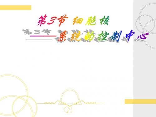 3.3细胞核---系统的控制中心   何贞 修改后的