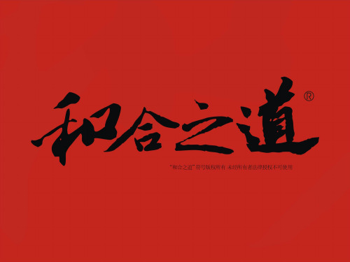 宁波天泽项目XXXX年整合推广方案_65PPT