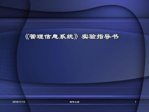 管理信息系统实验讲解课件