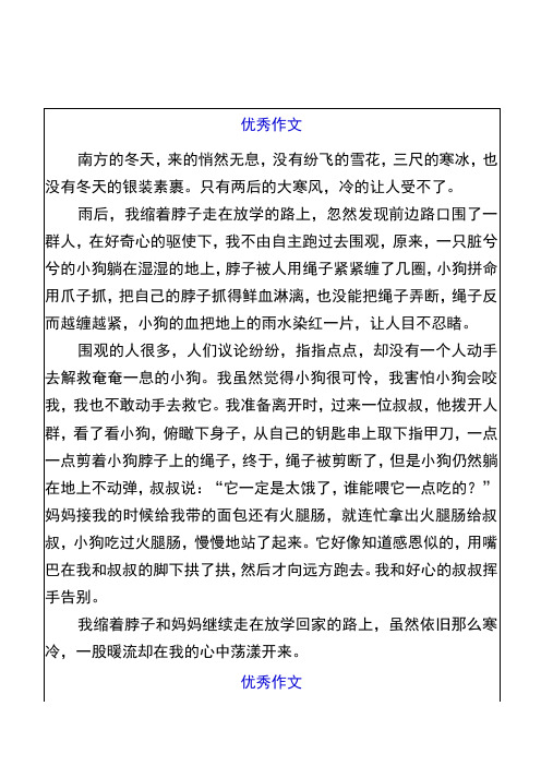 六年级作文『冬日里的温暖』500字范文