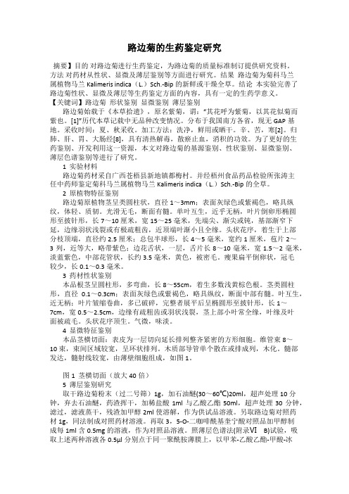 路边菊的生药鉴定研究