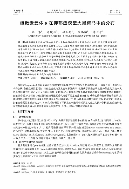 雌激素受体α在抑郁症模型大鼠海马中的分布