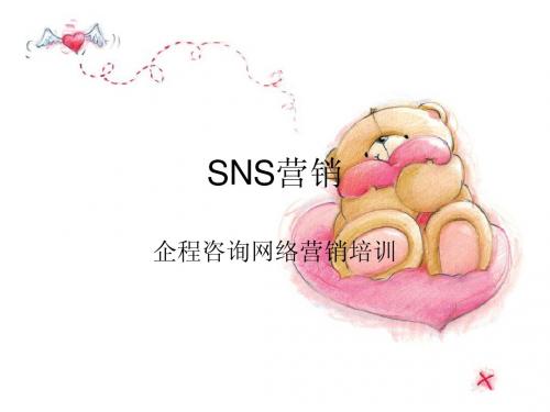 SNS营销