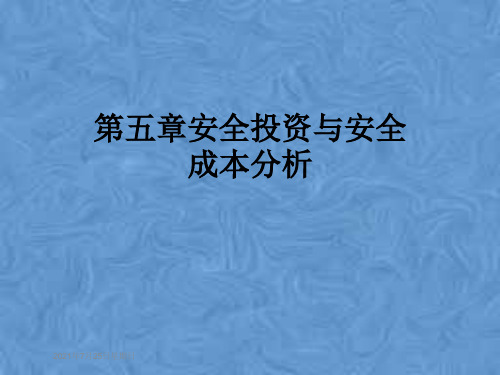 第五章安全投资与安全成本分析