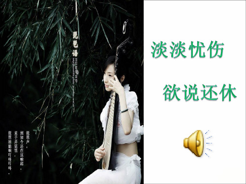 16、琵琶行(并序)