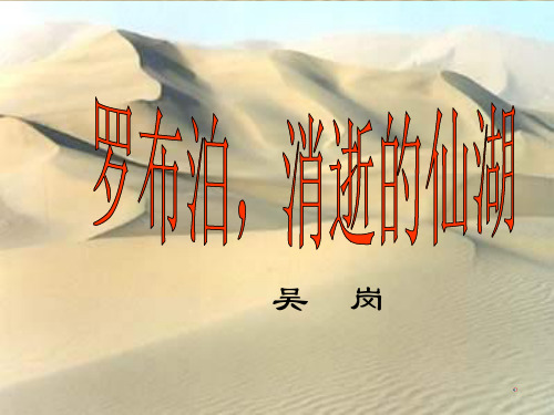 人教版八年级语文下册《三单元  阅读  12 .罗布泊,消逝的仙湖》示范课件_9