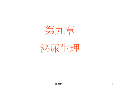 《泌尿生理》PPT课件