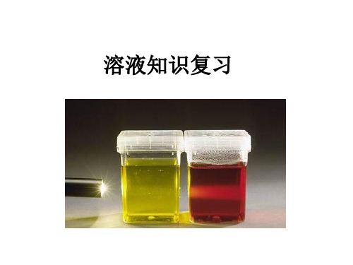 (201907)九年级化学溶液知识复习