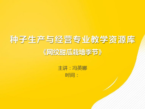 [正式版]网纹甜瓜栽培季节ppt资料
