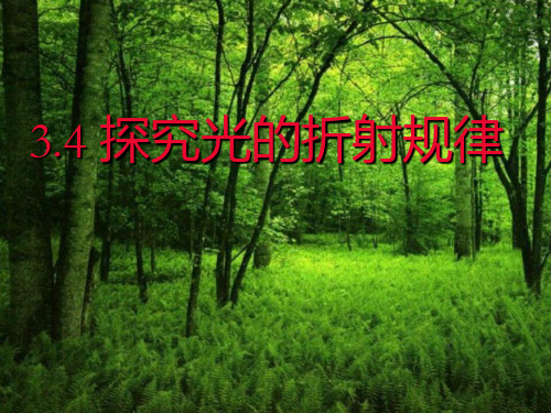 3、4探究光的折射规律()PPT课件