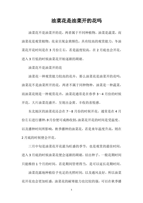 油菜花是油菜开的花吗