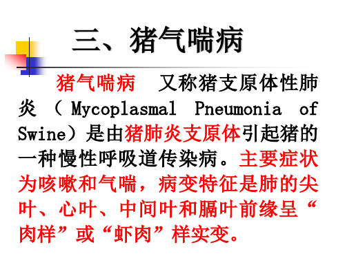 猪气喘病