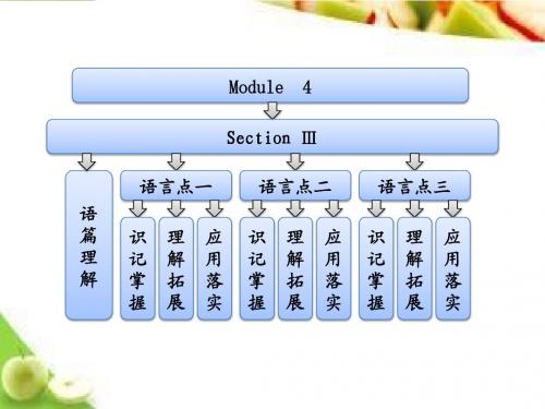 高一英语外研版必修二 课件 Module 4  Section Ⅲ Other Parts of the Module