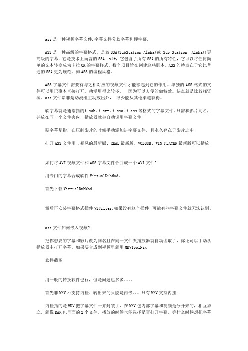 ASS是什么文件？