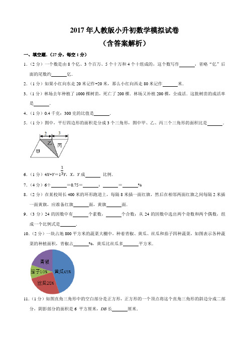 2017年人教版小升初数学模拟试卷(含答案解析)