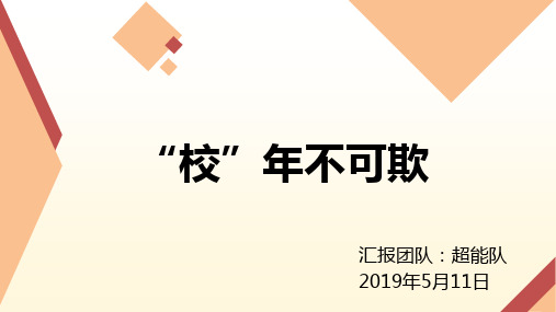 关于校园暴力社会工作项目策划PPT