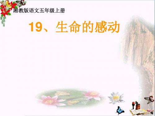 五年级语文上册第六单元生命的感动PPT课件3湘教版