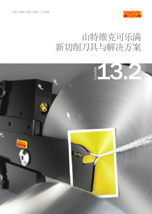 山特维克 2013  新切削刀具与解决方案13.2 -CHI