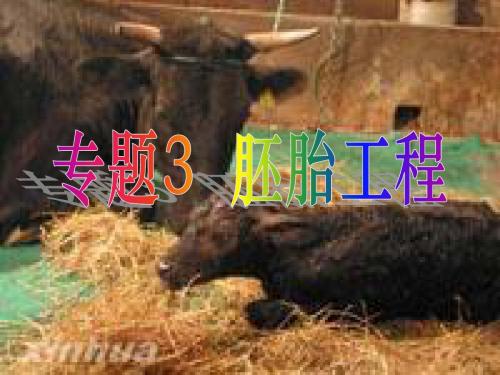 2011年苏北四市高三生物二模质量分析会(二)：胚胎工程