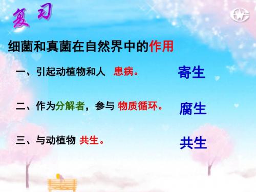 第五节人类对细菌和真菌的利用
