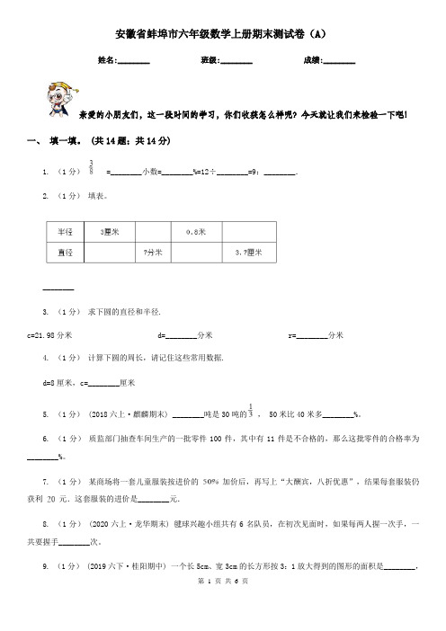 安徽省蚌埠市六年级数学上册期末测试卷(A)