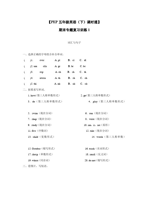 五年级14—15学年下学期英语(人教版PEP)课时通提高篇期末专题复习训练1(附答案) (1)