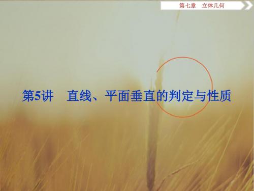 2018年高考数学理一轮复习课件 第七章 立体几何 第5讲